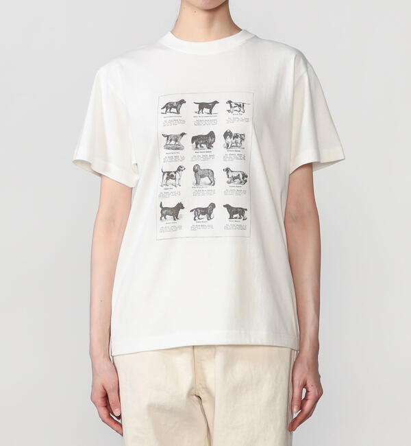  「History of Art | プリントTシャツ DOG WOMEN」|Tシャツ・カットソー|