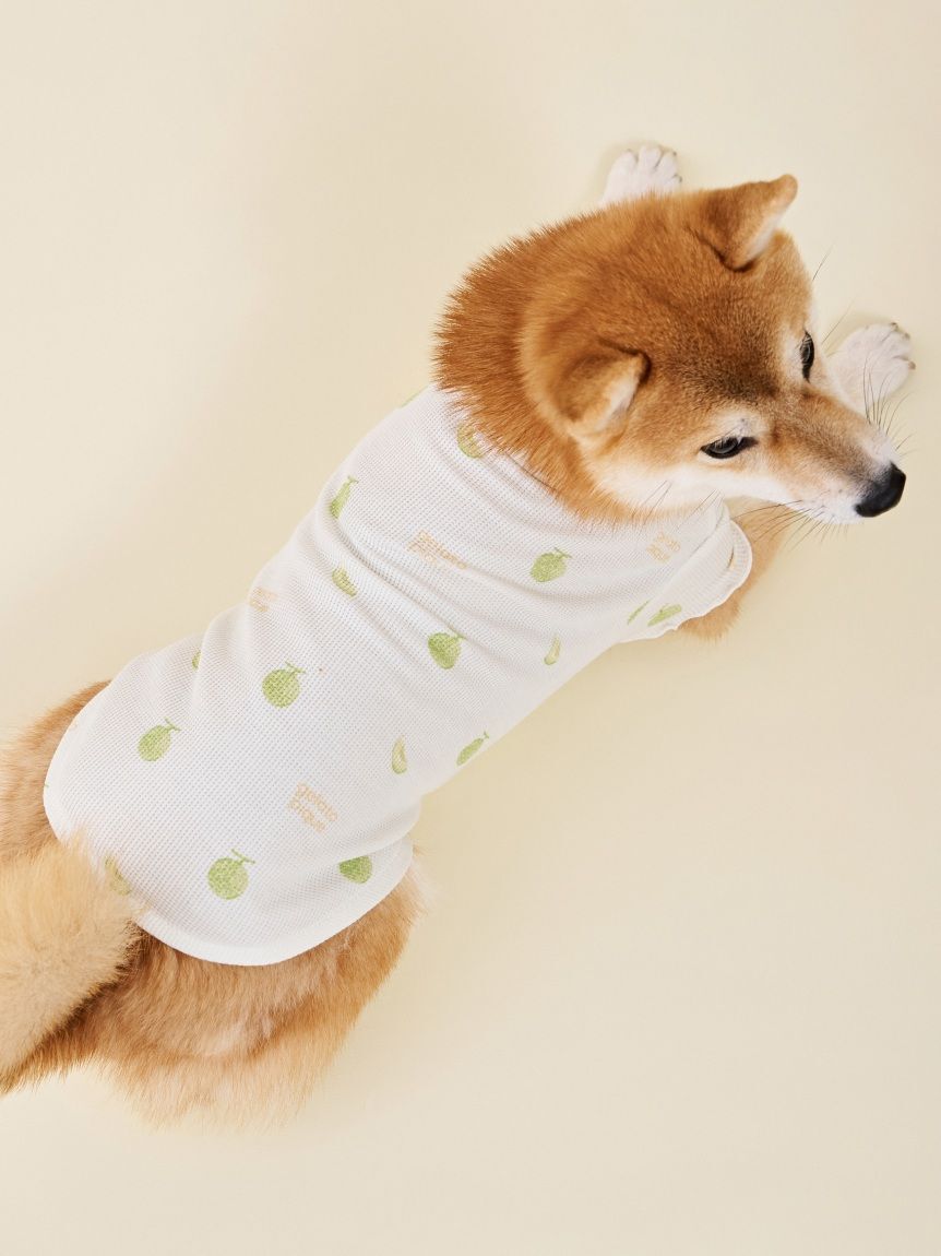  GELATO PIQUE CAT&DOG「【CAT&DOG】フルーツ柄ワッフルカットソープルオーバー」|その他|