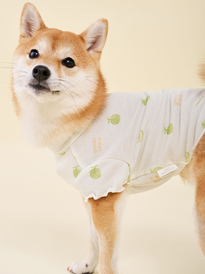 GELATO PIQUE CAT&DOG「【CAT&DOG】フルーツ柄ワッフルカットソープルオーバー」|その他|