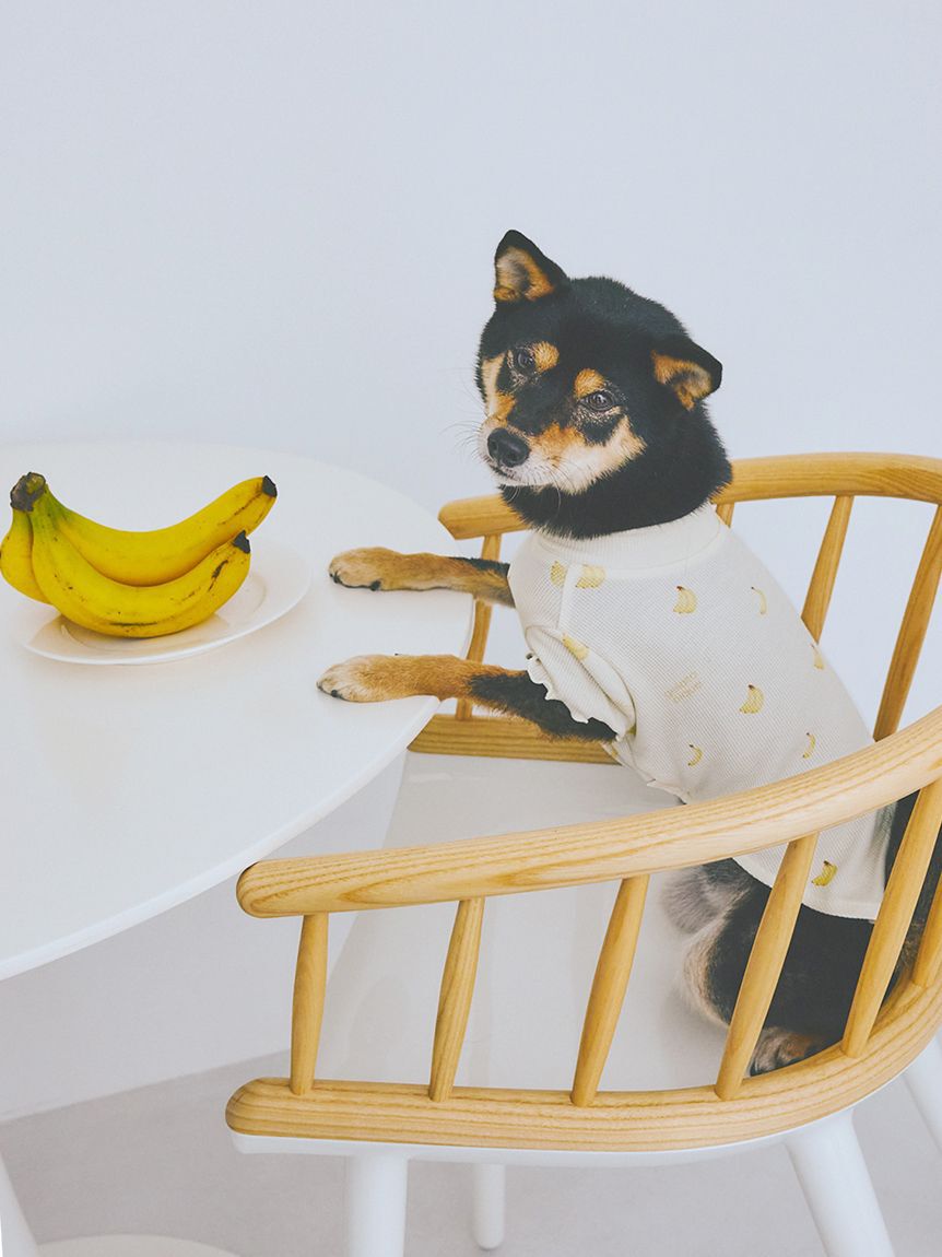  GELATO PIQUE CAT&DOG「【CAT&DOG】フルーツ柄ワッフルカットソープルオーバー」|その他|