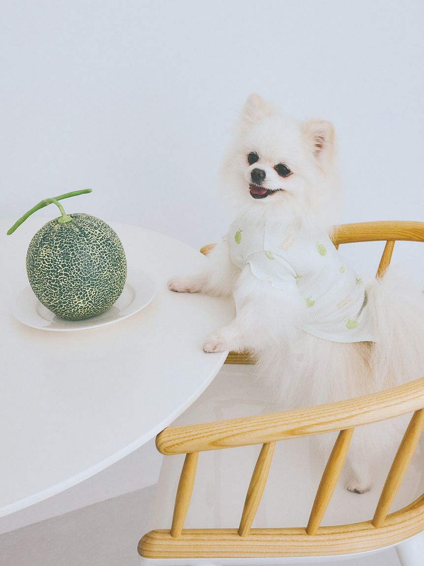  GELATO PIQUE CAT&DOG「【CAT&DOG】フルーツ柄ワッフルカットソープルオーバー」|その他|
