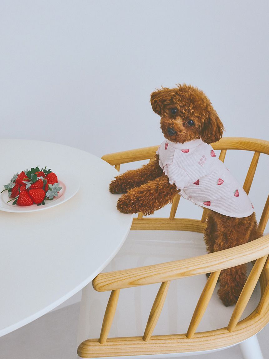  GELATO PIQUE CAT&DOG「【CAT&DOG】フルーツ柄ワッフルカットソープルオーバー」|その他|