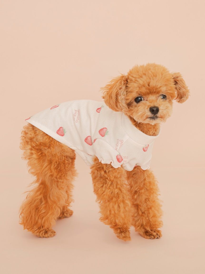  GELATO PIQUE CAT&DOG「【CAT&DOG】フルーツ柄ワッフルカットソープルオーバー」|その他|