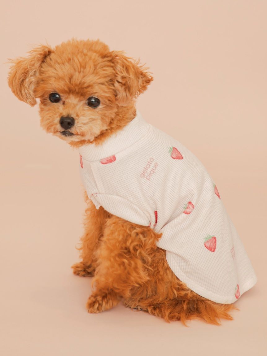  GELATO PIQUE CAT&DOG「【CAT&DOG】フルーツ柄ワッフルカットソープルオーバー」|その他|