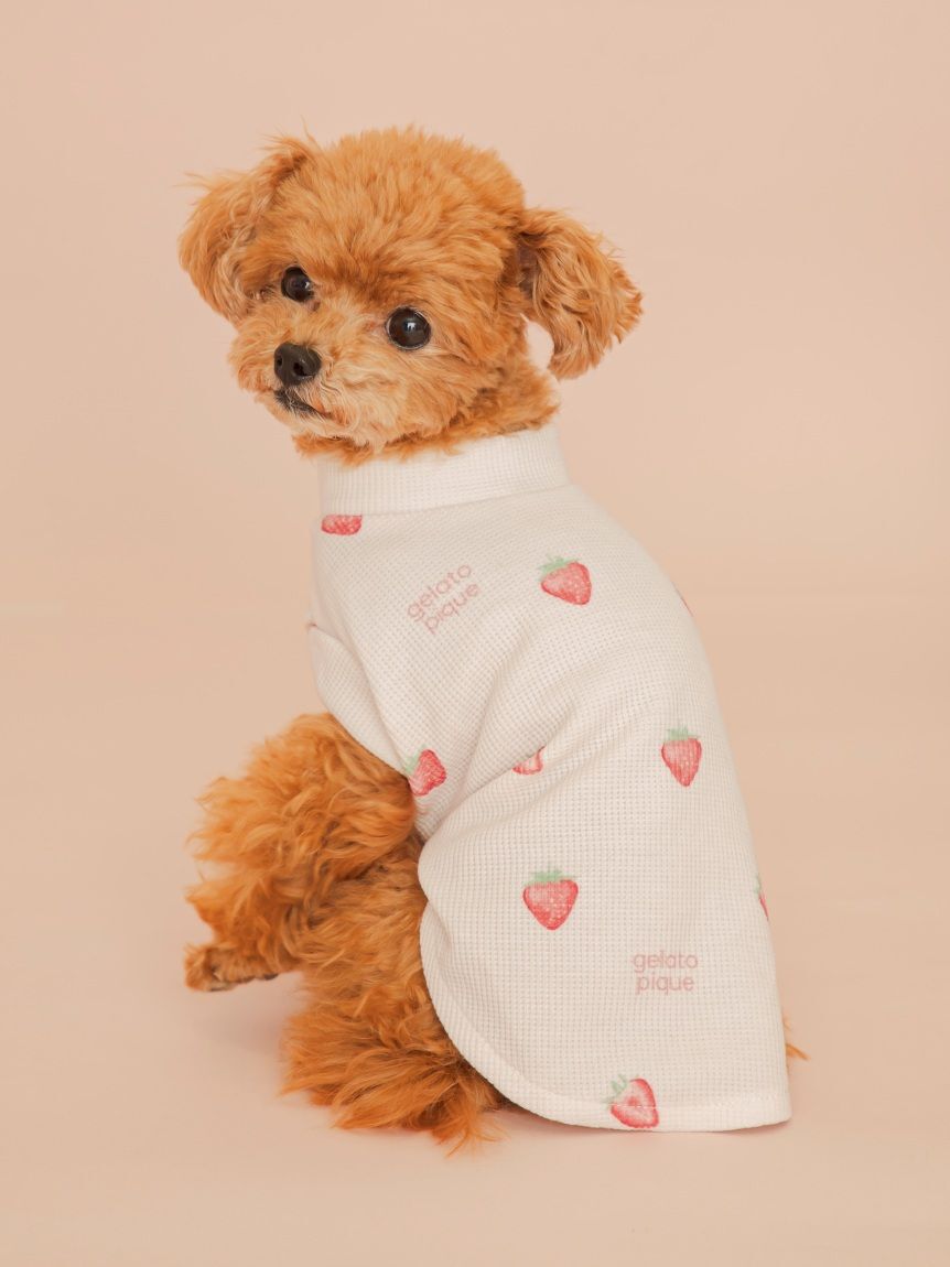  GELATO PIQUE CAT&DOG「【CAT&DOG】フルーツ柄ワッフルカットソープルオーバー」|その他|