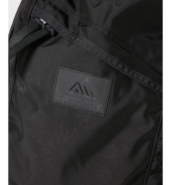 nano･universe「GREGORY/別注DAY PACK」|リュック|