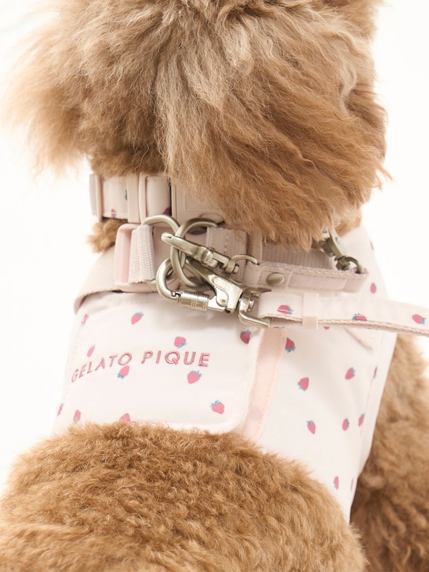  GELATO PIQUE CAT&DOG「【CAT&DOG】【販路限定商品】モチーフ柄リード」|その他|