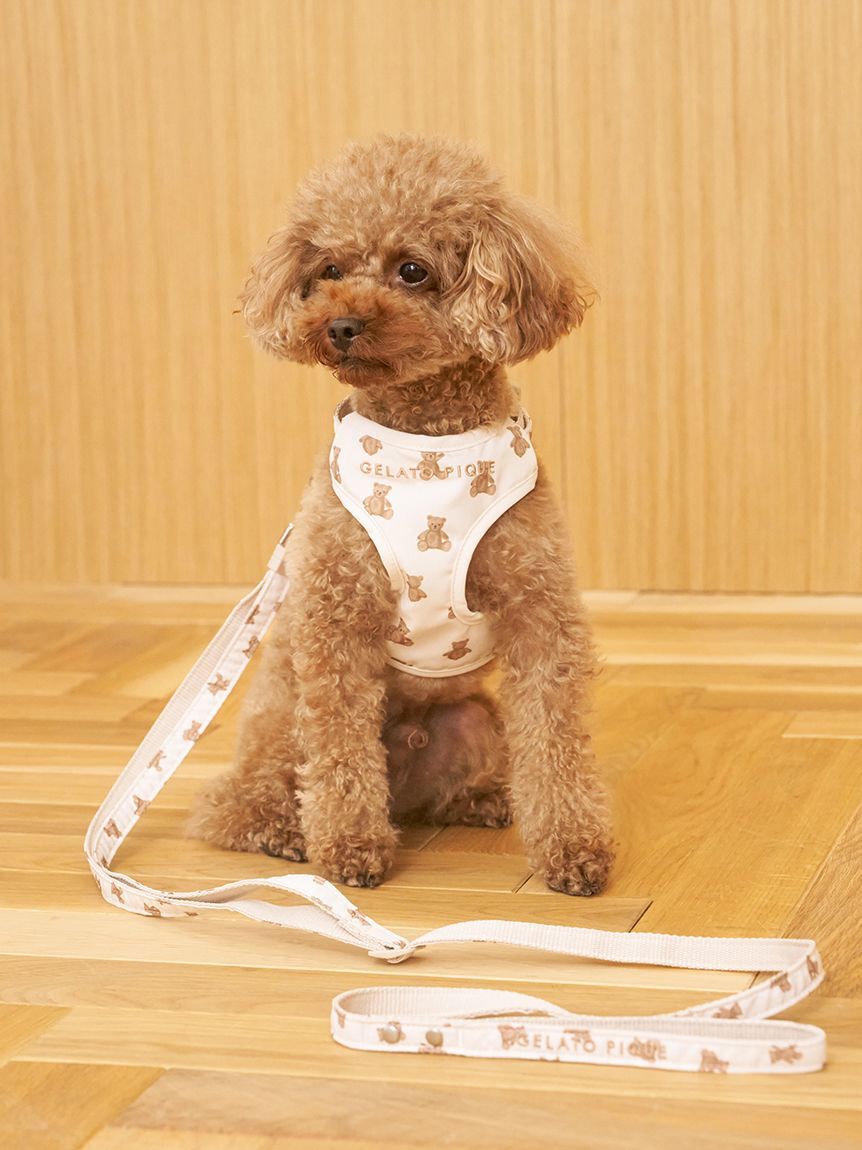  GELATO PIQUE CAT&DOG「【CAT&DOG】【販路限定商品】モチーフ柄リード」|その他|BRW