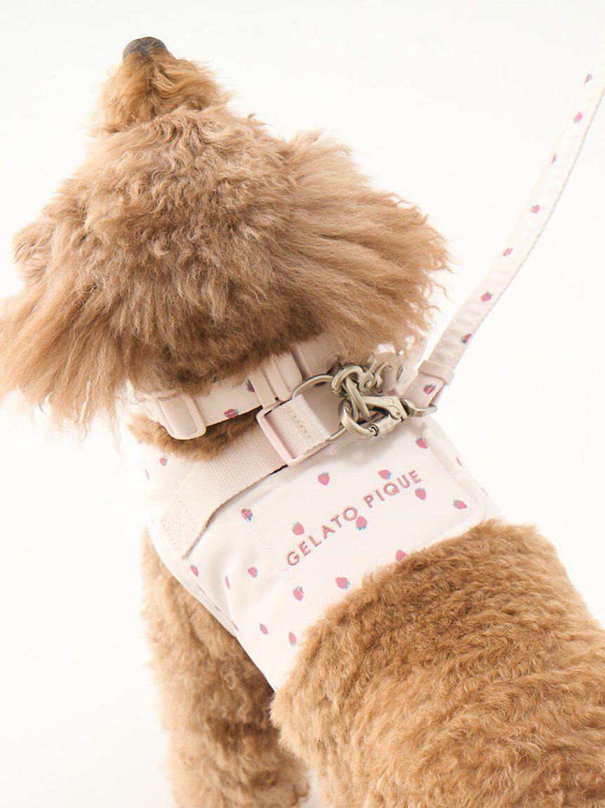  GELATO PIQUE CAT&DOG「【CAT&DOG】【販路限定商品】モチーフ柄ハーネス」|その他|