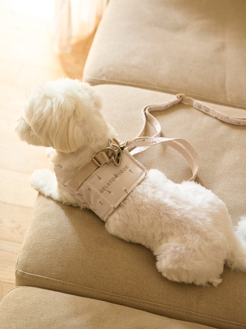  GELATO PIQUE CAT&DOG「【CAT&DOG】【販路限定商品】モチーフ柄ハーネス」|その他|