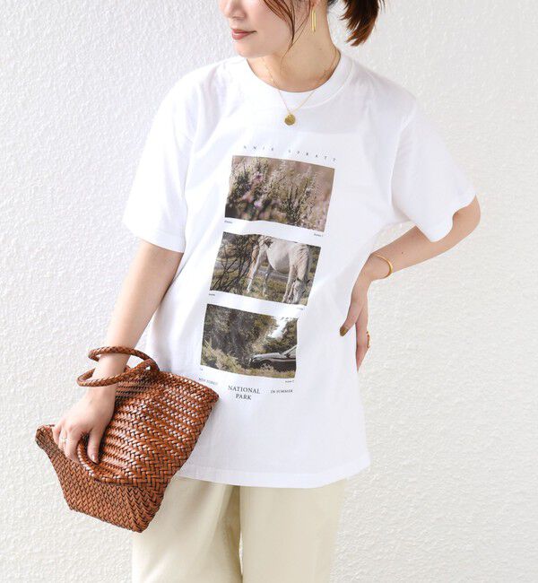 SHIPS for women「【SHIPS別注】THE CULTURE CORD: ARTIST TEE（AS）」|Tシャツ・カットソー|