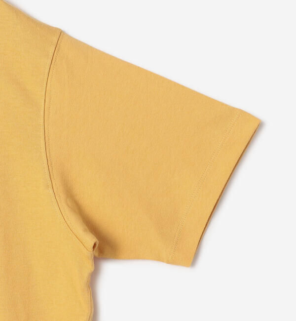 DANTON「DANTON | コットン天竺 ショートTシャツ SOLID WOMEN」|Tシャツ・カットソー|