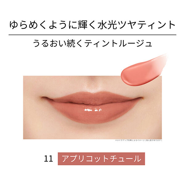 エテュセ「エテュセ リップエディション （ティントルージュ） 11 アプリコットチュール 本体/無香料 (2g)」|リップメイク|