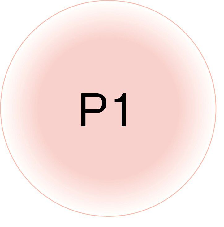 ポーラ「B.A パウダリィファンデーション P1 （10g）　【パフ付き・ケース別売】」|ファンデーション|