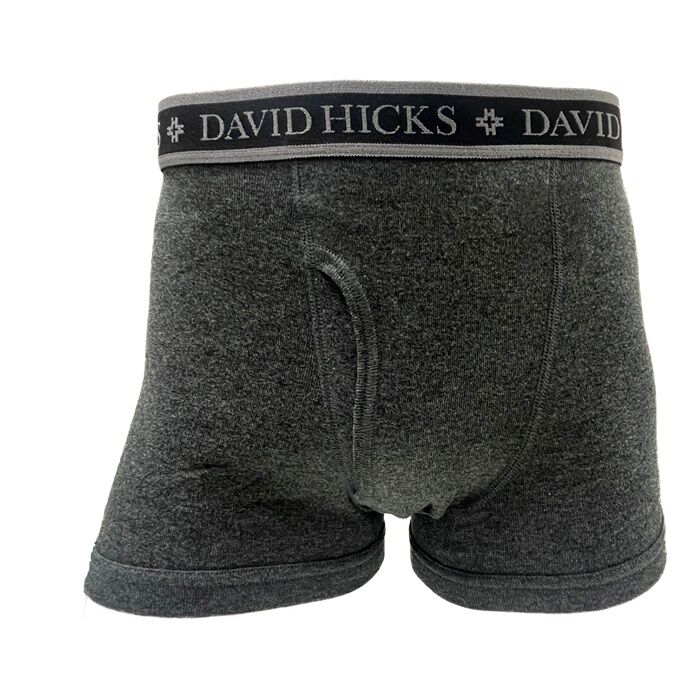 BACKYARD FAMILY「ボクサーパンツ メンズ セット 4枚 通販 ちょい漏れパンツ David Hicks」|インナー|