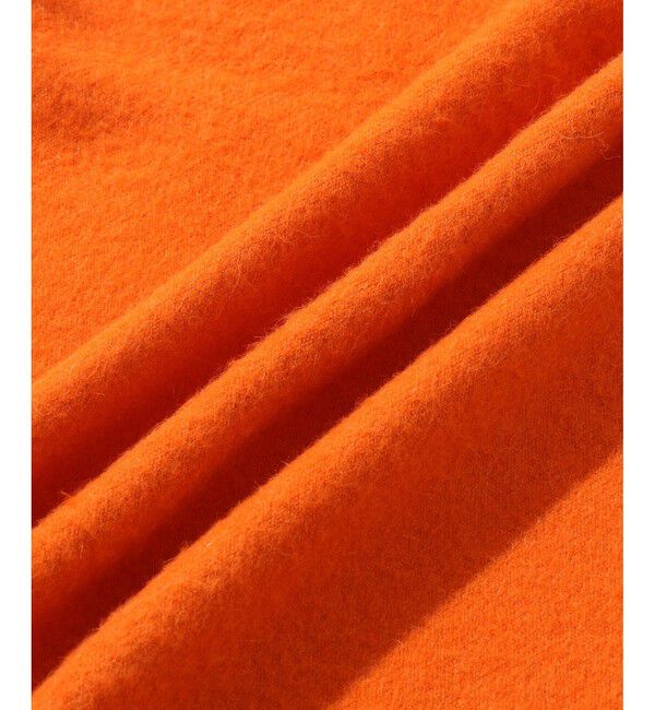 ADAM ET ROPE'「【THE INOUE BROTHERS...together with ADAM ET ROPE'】EX Brushed Scarf」|マフラー|