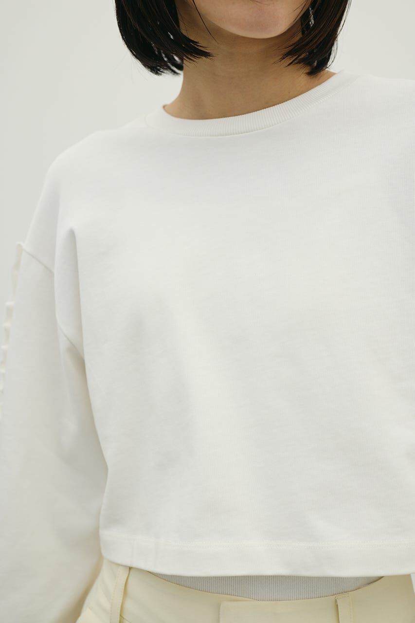 STYLEMIXER「フリルスリーブカットトップ」|Tシャツ・カットソー|