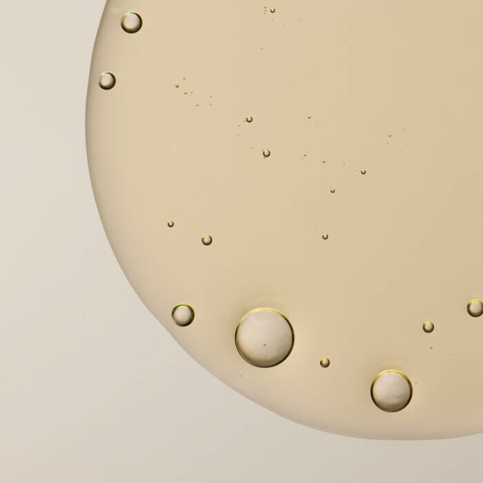 Aesop「ｲｿｯﾌﾟ ｼｬﾝﾌﾟｰ 500mL」|シャンプー|