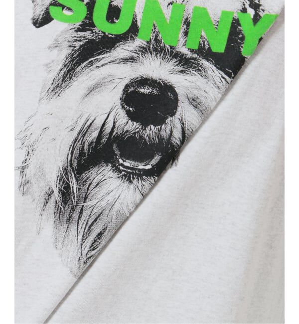 OUTDOOR PRODUCTS Usual Things「追加4 ピグメントカットオフZOO TEE」|Tシャツ・カットソー|