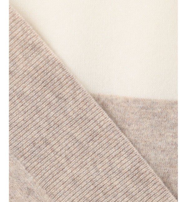 BEIGE,「【WEB限定・洗える】DEMING / バイカラーウールクルーネックニット」|ニット・セーター|
