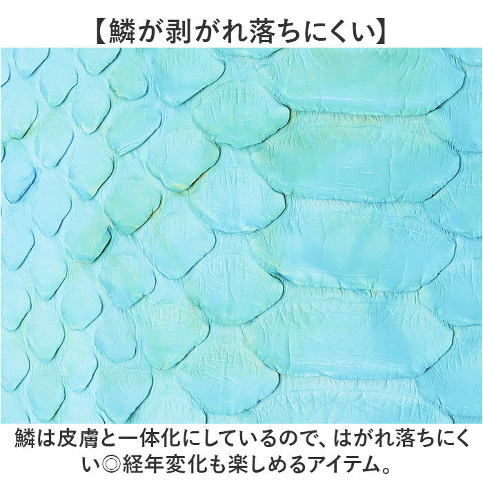 BACKYARD FAMILY「zoo 財布 ズー ZLW-138 通販 日本製 長財布 ながさいふ なが財布 長サイフ」|財布|