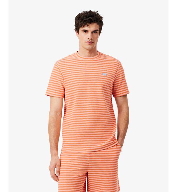 LACOSTE「ニットライクボーダーTシャツ」|Tシャツ・カットソー|