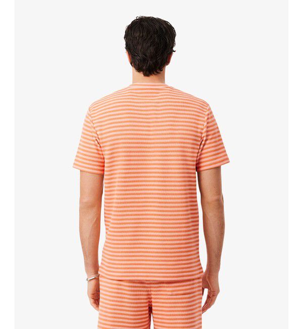LACOSTE「ニットライクボーダーTシャツ」|Tシャツ・カットソー|