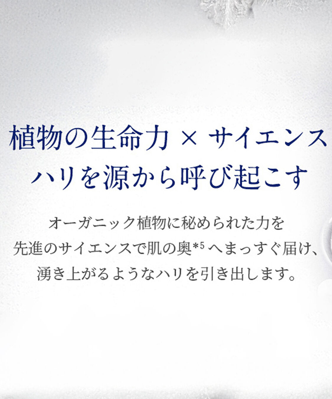 NEAL&rsquo;S YARD REMEDIES「フランキンセンス インテンス アイクリーム 15mL」|美容液・オイル・クリーム|