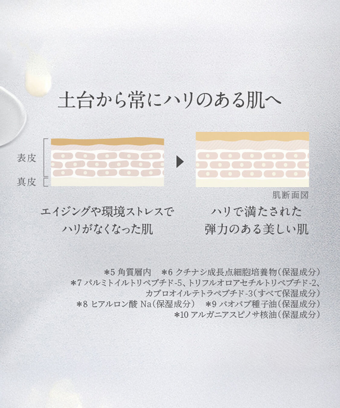 NEAL&rsquo;S YARD REMEDIES「フランキンセンス インテンス アイクリーム 15mL」|美容液・オイル・クリーム|