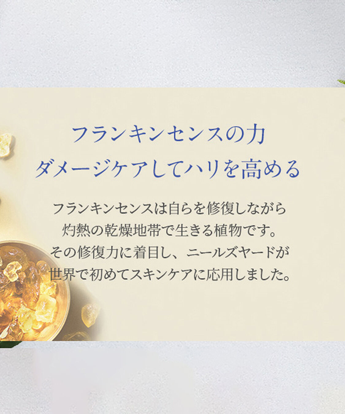 NEAL&rsquo;S YARD REMEDIES「フランキンセンス インテンス アイクリーム 15mL」|美容液・オイル・クリーム|