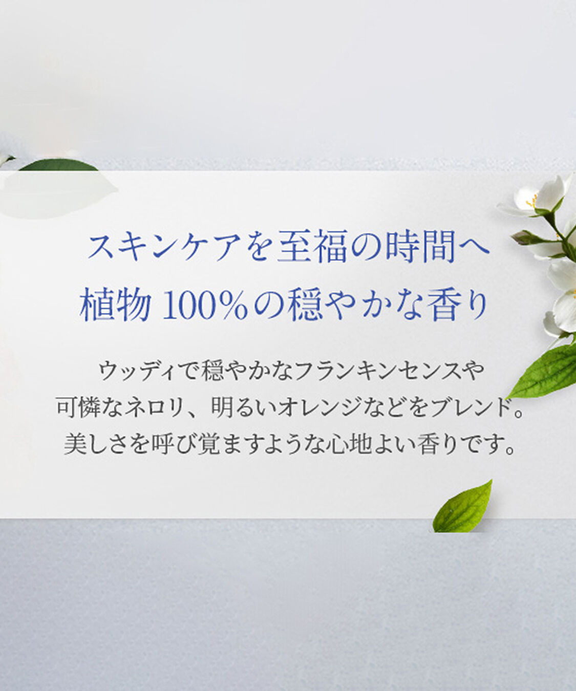 NEAL&rsquo;S YARD REMEDIES「フランキンセンス インテンス アイクリーム 15mL」|美容液・オイル・クリーム|