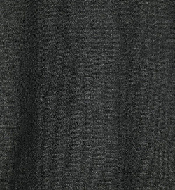 STEVEN ALAN「＜Steven Alan＞ メリノウール クルーネック Tシャツ」|Tシャツ・カットソー|