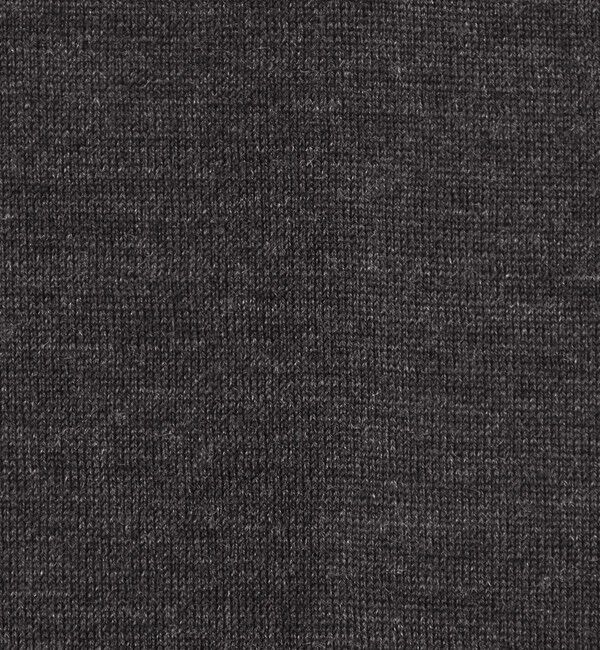 STEVEN ALAN「＜Steven Alan＞ メリノウール クルーネック Tシャツ」|Tシャツ・カットソー|