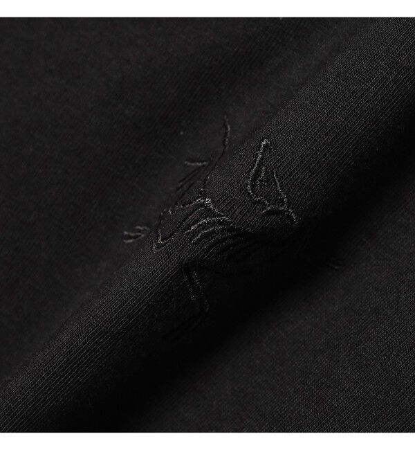 BEAMSBOY「ARC'TERYX / リトルバード クルー ショートスリーブ ウィメンズ」|Tシャツ・カットソー|