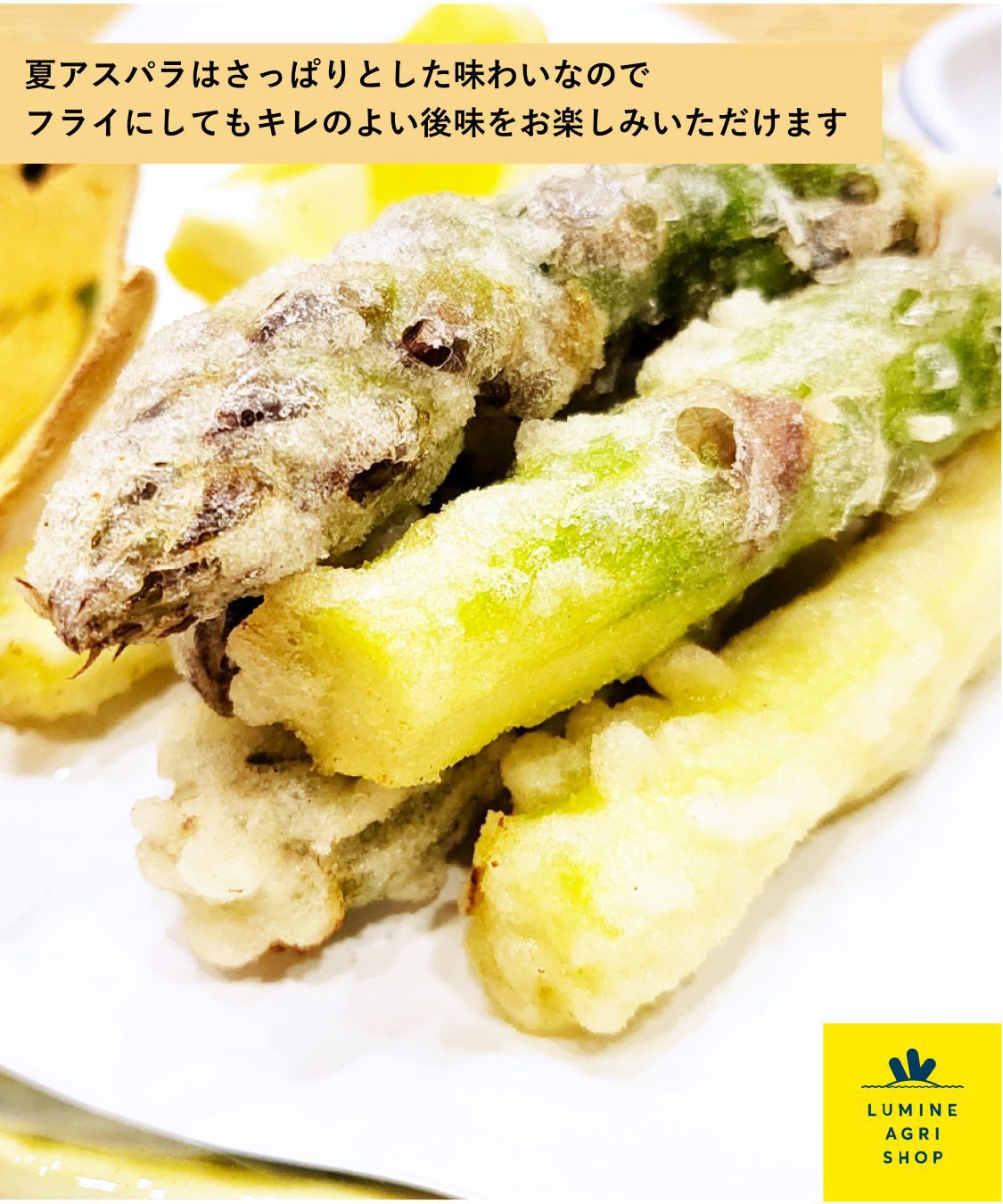 LUMINE AGRI SHOP「田中さんの会津産&ldquo;夏アスパラ&rdquo;L15-20本」|果物・野菜|