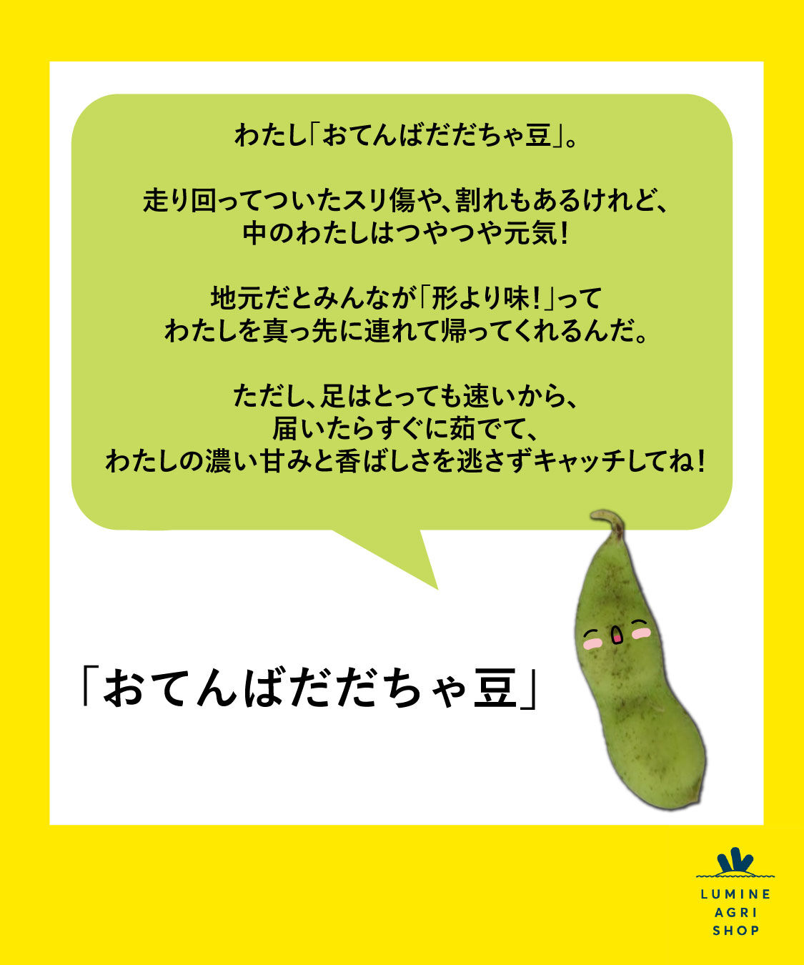 LUMINE AGRI SHOP「【エシカーニバル】おてんばだだちゃ豆1kg(500g&times;2袋)」|果物・野菜|