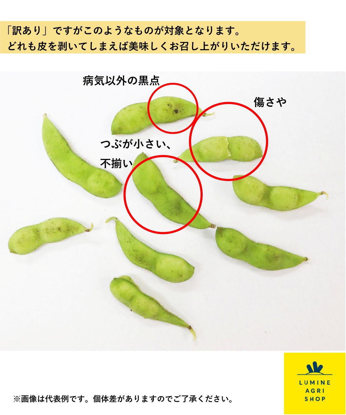 LUMINE AGRI SHOP「【エシカーニバル】おてんばだだちゃ豆1kg(500g&times;2袋)」|果物・野菜|