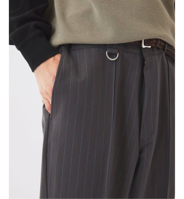JOURNAL STANDARD relume「《追加予約》Dickies / ディッキーズ 別注 ピンタック ワイドストライプスラックス」|スラックス|