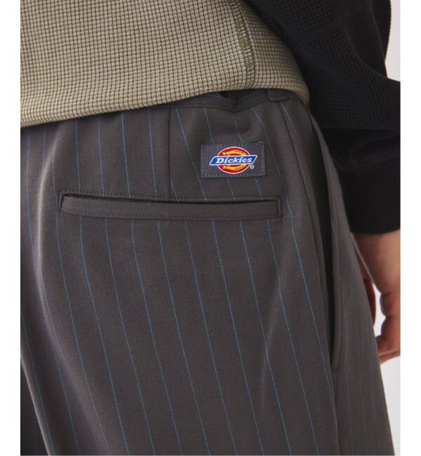 JOURNAL STANDARD relume「《追加予約》Dickies / ディッキーズ 別注 ピンタック ワイドストライプスラックス」|スラックス|