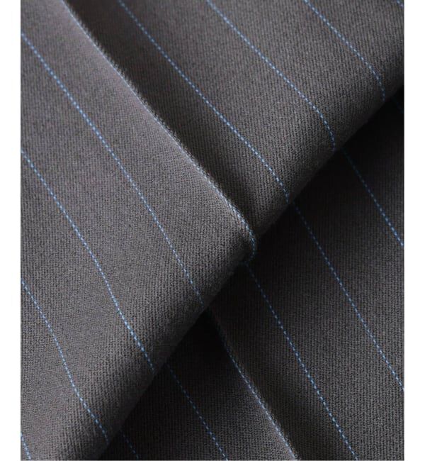 JOURNAL STANDARD relume「《追加予約》Dickies / ディッキーズ 別注 ピンタック ワイドストライプスラックス」|スラックス|