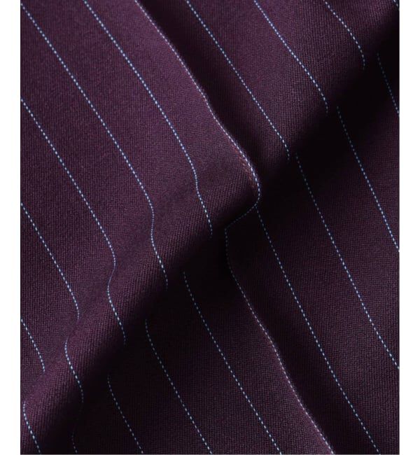 JOURNAL STANDARD relume「《追加予約》Dickies / ディッキーズ 別注 ピンタック ワイドストライプスラックス」|スラックス|