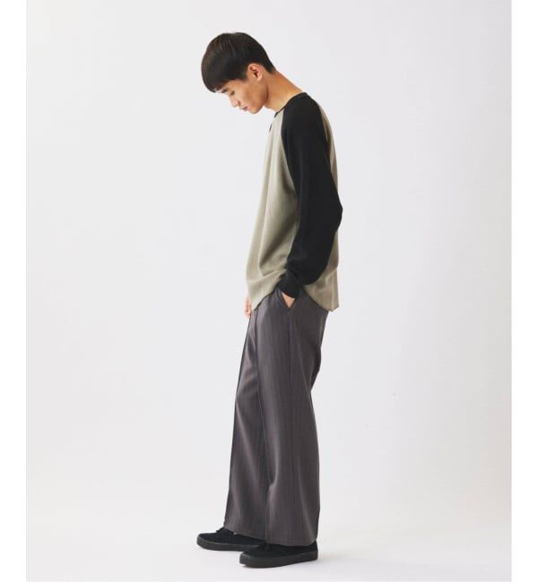 JOURNAL STANDARD relume「《追加予約》Dickies / ディッキーズ 別注 ピンタック ワイドストライプスラックス」|スラックス|