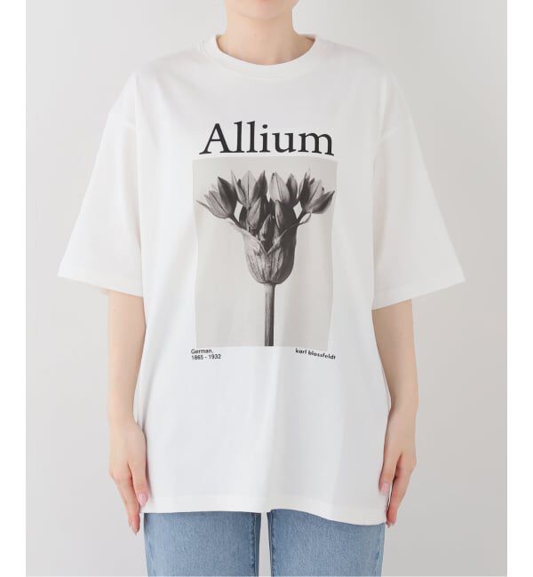 FRAMeWORK「JOHNBULL/ジョンブル karl blossfeldt alium T」|Tシャツ・カットソー|