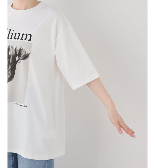 FRAMeWORK「JOHNBULL/ジョンブル karl blossfeldt alium T」|Tシャツ・カットソー|
