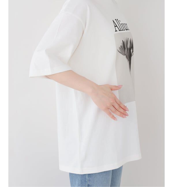FRAMeWORK「JOHNBULL/ジョンブル karl blossfeldt alium T」|Tシャツ・カットソー|