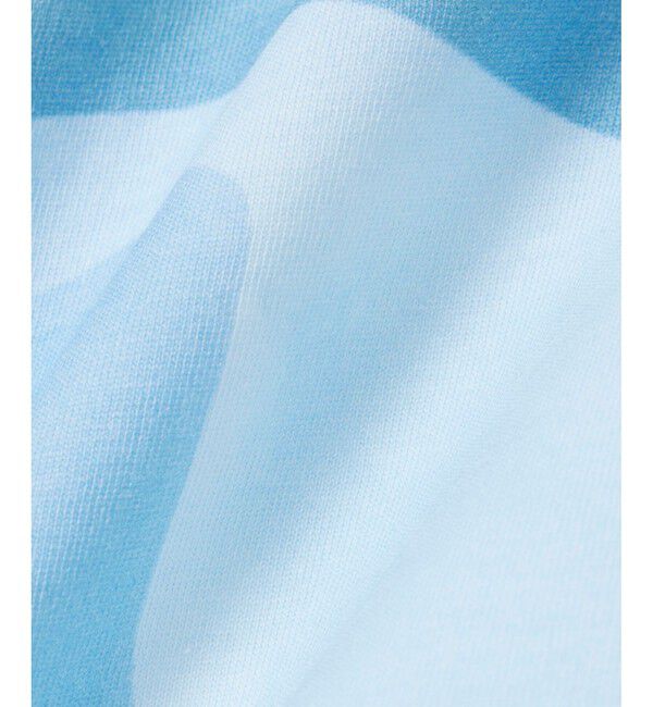 LACOSTE「クローズアップワニロゴプリントTシャツ」|Tシャツ・カットソー|
