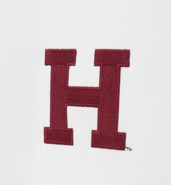 SOFFITTO「【GOOD ROCK SPEED/グッドロックスピード】EMBROIDERY SWEAT」|スウェット・ジャージ|