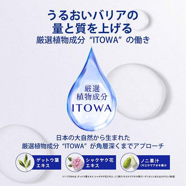  「雪肌精 雪肌精 クリアウェルネス ピュア コンク SS (125mL)」|化粧水|