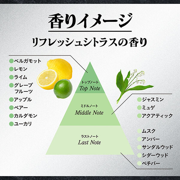  「エージーデオ24 薬用メンズボディクレンズ 本体/リフレッシュシトラス (490mL)」|ボディクレンジング|