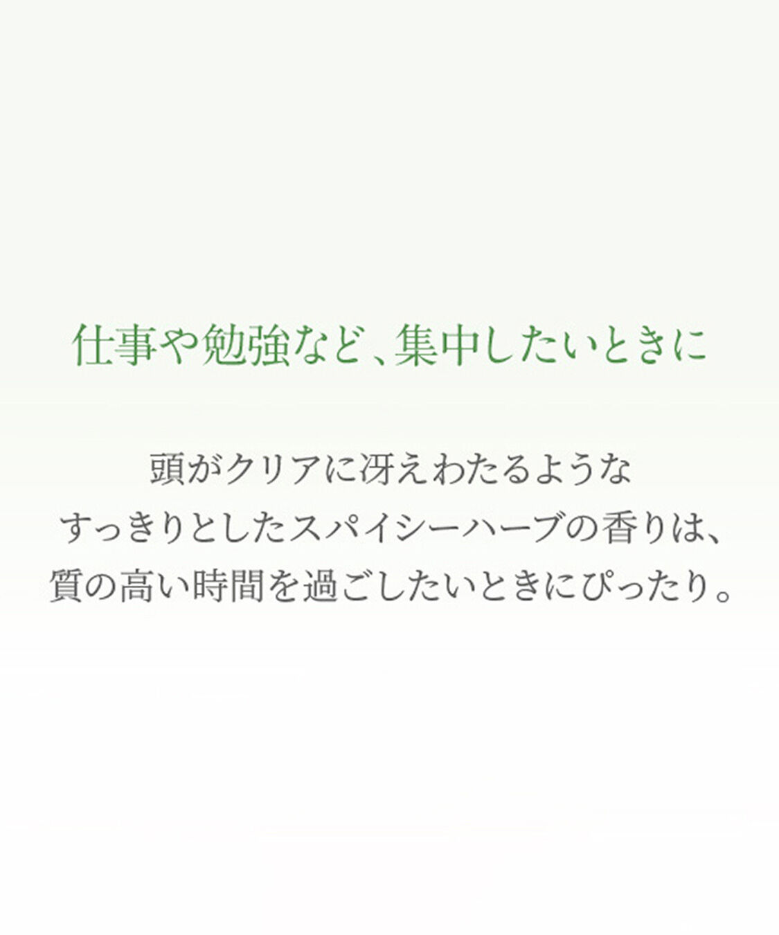 NEAL&rsquo;S YARD REMEDIES「アロマパルス スタディ 9mL」|香水・フレグランス|